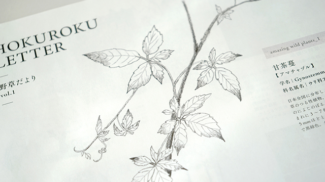 HOKUROKU LETTER vol.1
