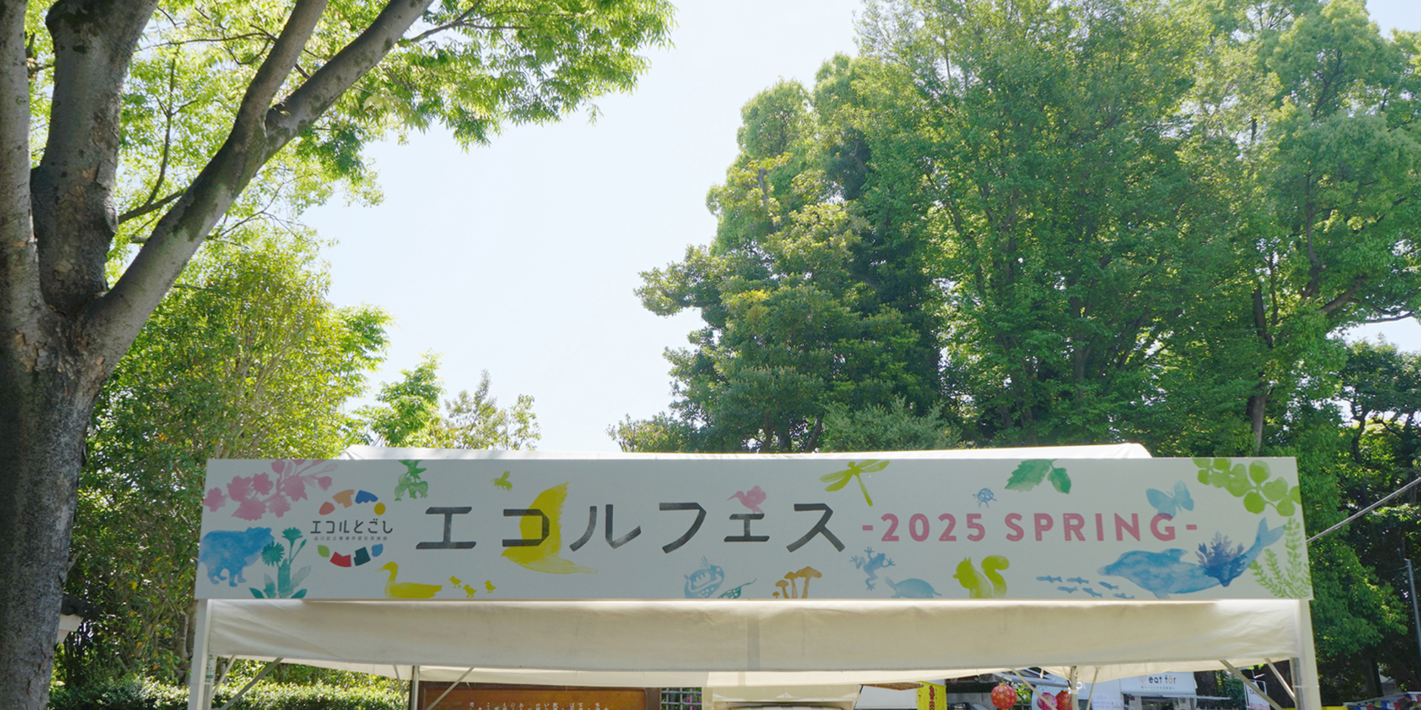 エコルフェス 2025春 venue and ad visual