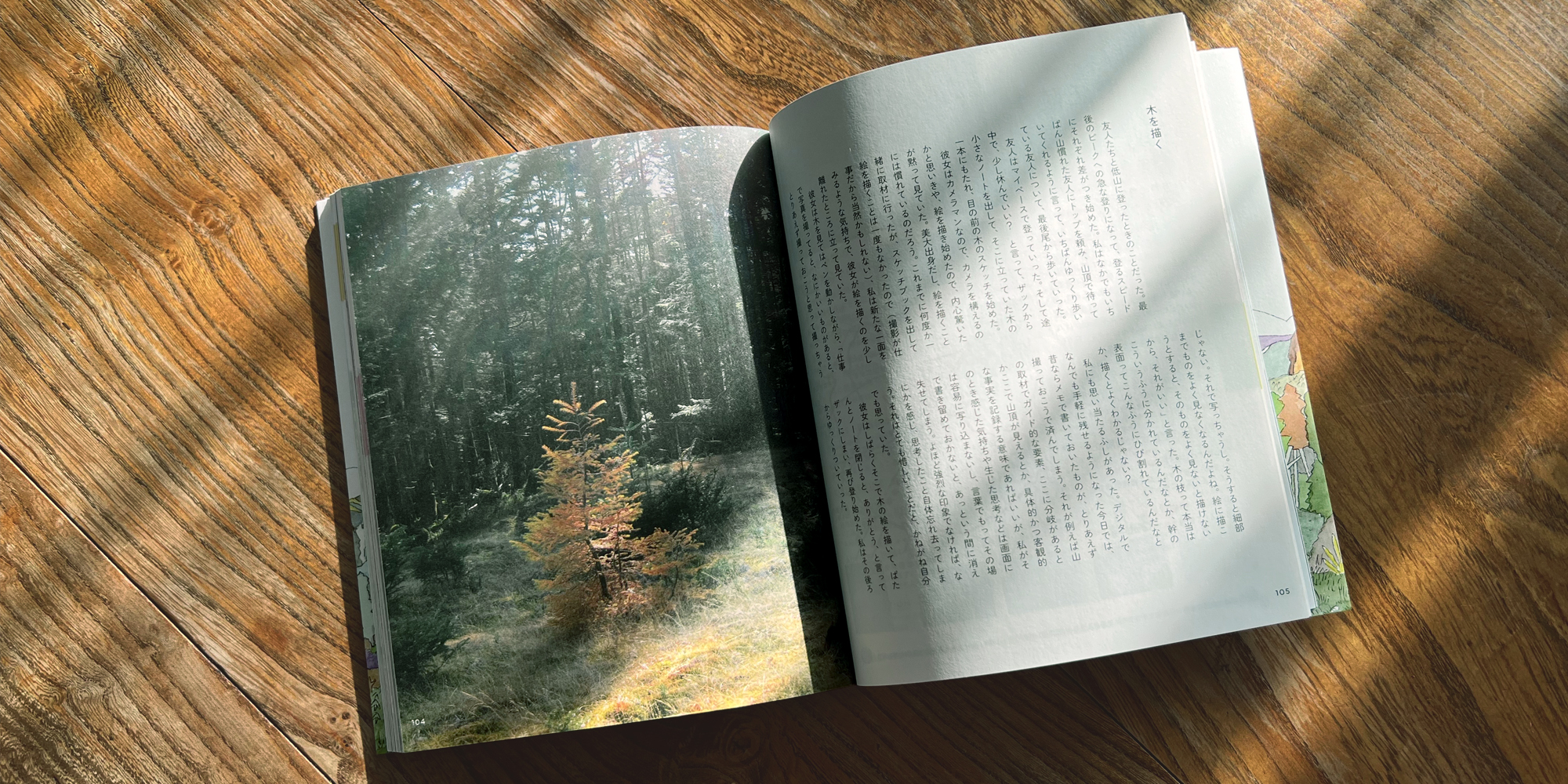 東京近郊ミニハイク（新版）